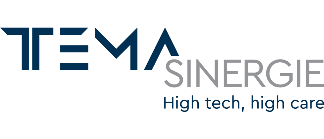 TEMA SINERGE